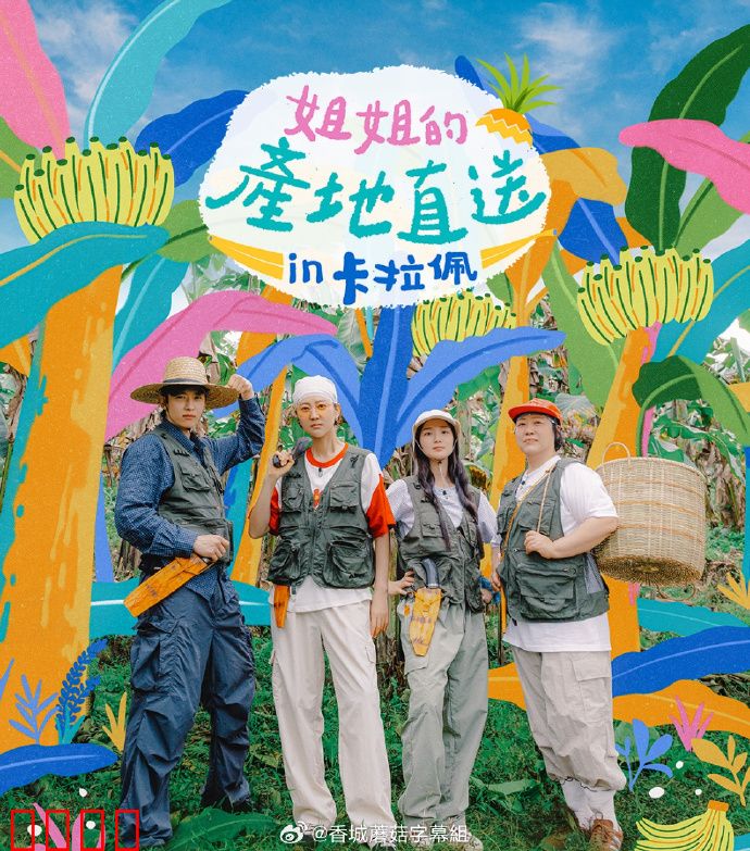 姐姐家的产地直送3：情归田园