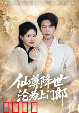 仙尊降世沦为上门郎：逆袭之路