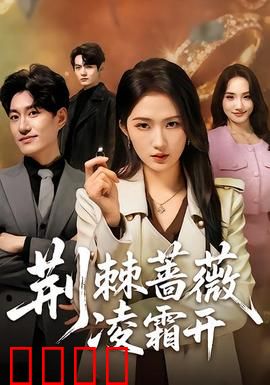 荆棘蔷薇凌霜开：逆袭之路