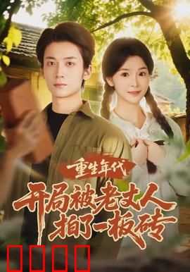 重生年代开局被老丈人拍了一板砖：逆袭从砖头开始