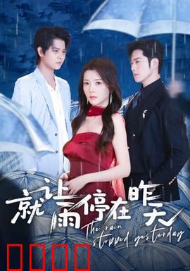 就让雨停在昨天：未完成的约定