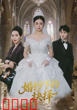 婚纱下的抉择：爱的代价