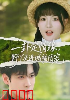 一卦定情缘,野丫头进城被团宠:卦启良缘