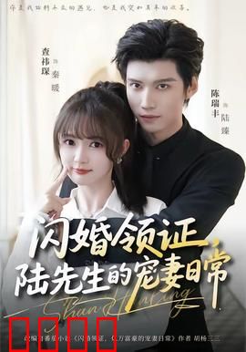 闪婚领证，陆先生的宠妻日常：先婚后爱甜上头