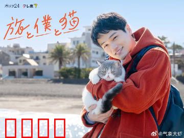 旅行和我和猫：一路相伴的治愈之旅