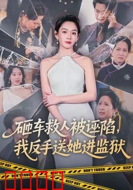 砸车救人被诬陷，我反手送她进监狱：正义反击路