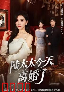 陆太太今天离婚了:反手惊艳前夫