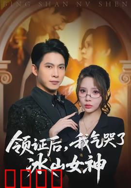领证后,我气哭了冰山女神:霸气护妻