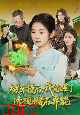 被车撞后,我觉醒了透视赌石异能了:逆袭赌石界