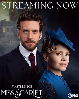 斯嘉丽小姐探案集第六季：迷雾中的真相