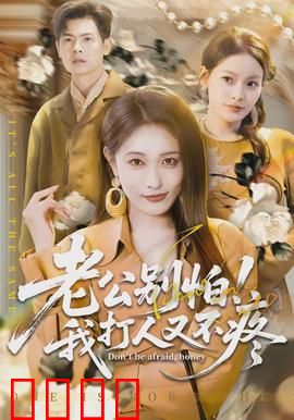 老公别怕!我打人又不疼:女武神护夫记