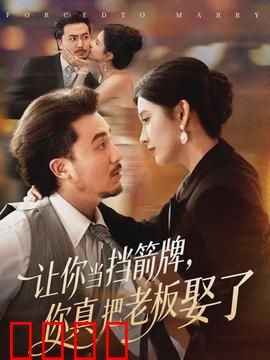 让你当挡箭牌,你真把老板娶了:职场逆袭记