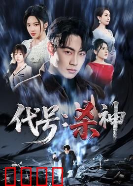 代号:暗影特工