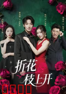 折花枝上开：乱世红颜决