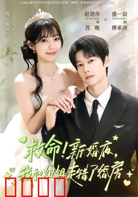 救命！新婚夜，我和姐姐走错了婚房：错婚奇缘