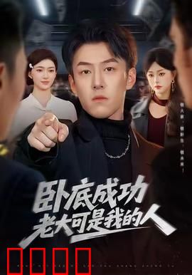 卧底成功老大可是我的人：老大也是卧底