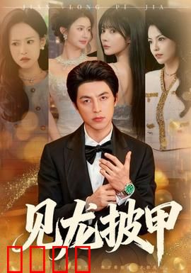 见龙披甲：龙甲护国