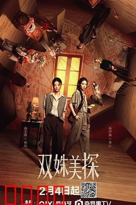 双姝美探：欢喜冤家破奇案