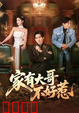 《大哥归来：复仇之路