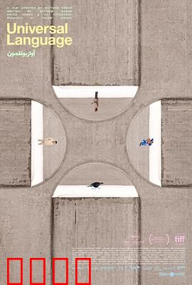 共同的语言：跨越隔阂的爱