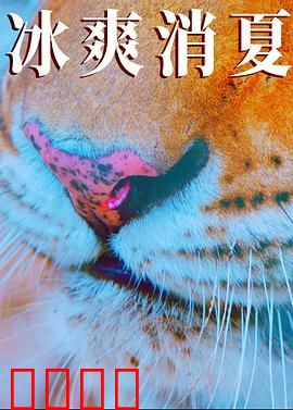 寒冰白血：极地救赎