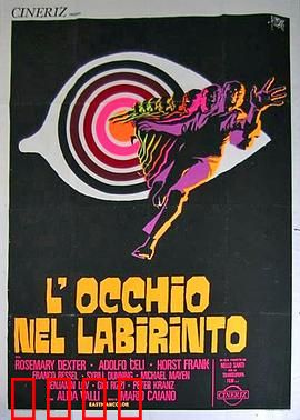 迷宫眼：视觉迷宫之谜