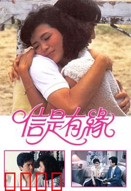 信是有缘粤语：缘定三生