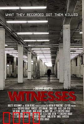 目击者2019：生死追击