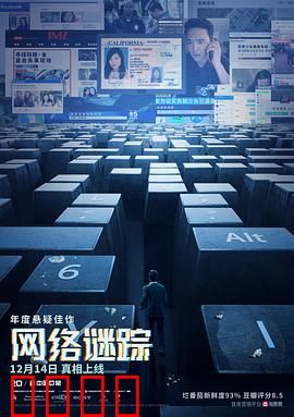 网络谜踪：数字追凶