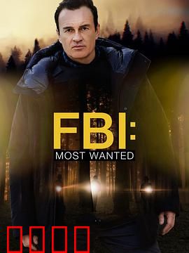 联邦调查局：卧底迷局