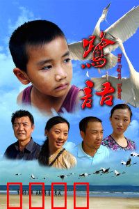 鹭语：少年与鹭