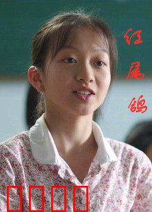 红尾鸽：记忆的翅膀