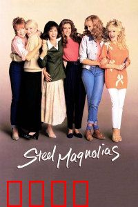 钢木兰花：坚韧之花