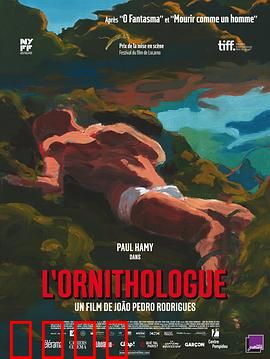 鸟类学家：迷失森林的寓言