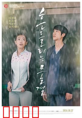 绽放2015：梦想绽放