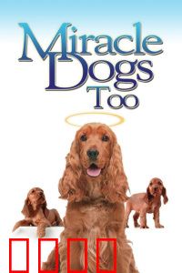 天降神犬2：勇闯秘境