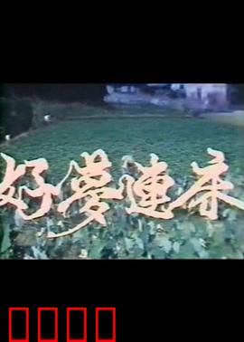 好梦连床：梦境与现实交织