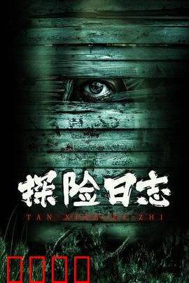 探险日志：终极谜团