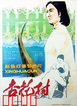 杏花村：改革浪潮中的小村