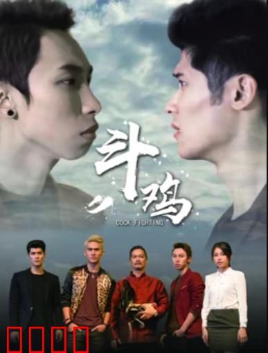 斗鸡：小人物的悲喜剧