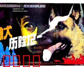 狼犬历险记：忠诚伙伴的故事