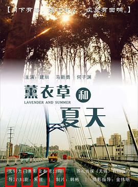 薰衣草和夏天：浪漫花海之约