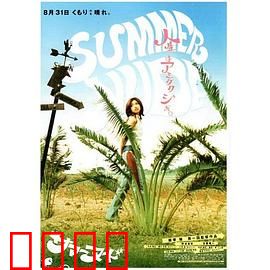 夏天的小岛：失落的时光