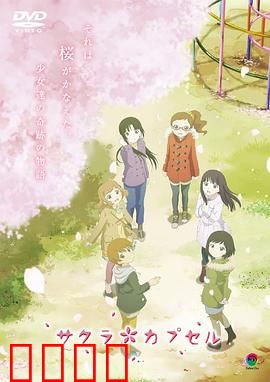 樱花树下的时间胶囊：时光秘语