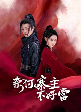 奈何寨主不好当：负债累累