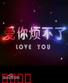 爱你烦不了：冤家变恋人