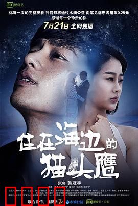 住在海边的猫头鹰：治愈系爱情