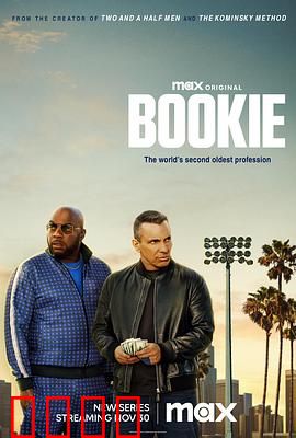 记账人：天才的伪装