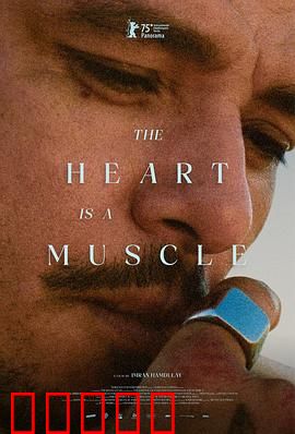 心如肌理：触摸心灵的伤痕