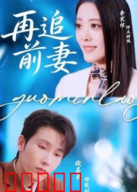 再追前妻：破镜重圆攻略